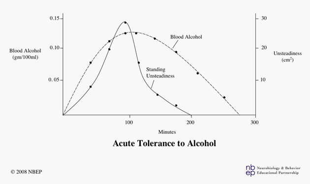 Acute Tolerance to Alcohol.