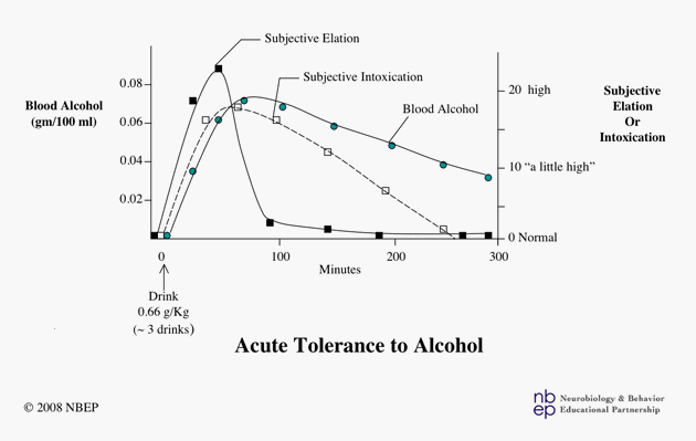 Acute Tolerance to Alcohol.