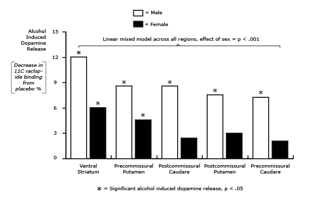 Alcohol Induces More Striatal Dopamine Release in Males than Females