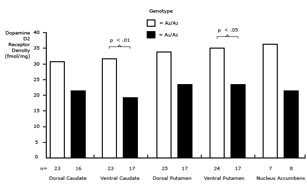 The Risk Allele of the Dopamine D2 Receptor (DRD2A1) Is Associated with Reduced