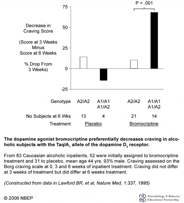 Bromocriptine decreases craving in alcoholic subjects with the Taq 1A allele