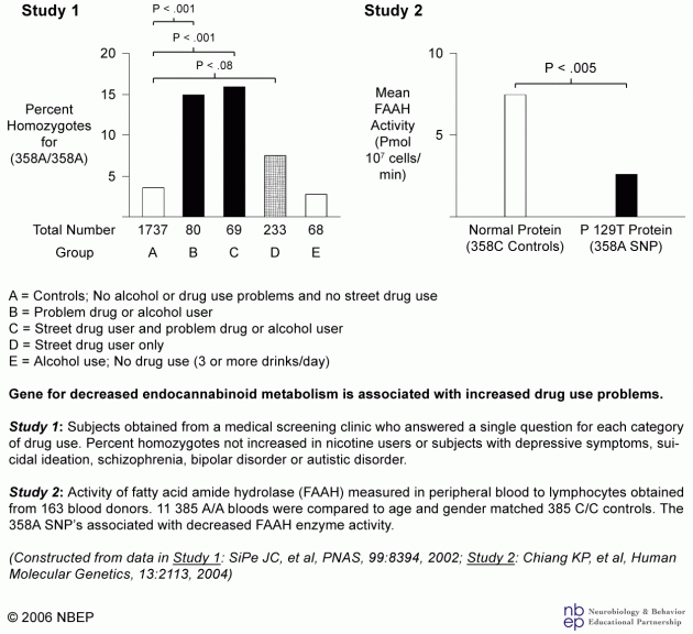 Gene for decreased endocannabinoid metabolism and problem alcohol use