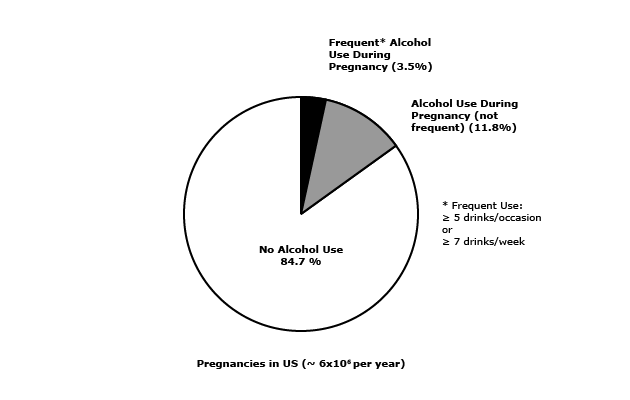 Alcohol Use during Pregnancy is a Preventable Cause of Fetal Death and Lifetime 