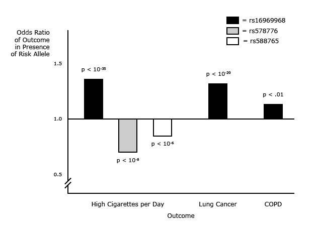 Alpha 5 Subunit and Smoking, Lung cancer and COPD