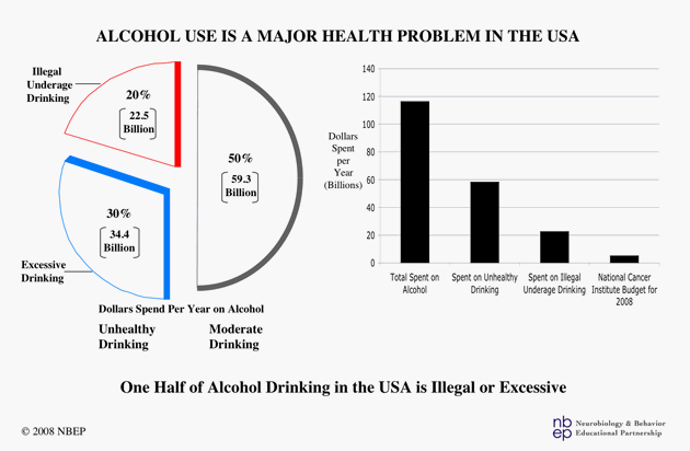 One Half of Alcohol Drinking in the USA is Illegal or Excessive.