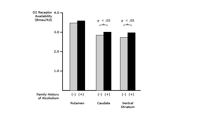 Nonalcoholic Individuals from Alcoholic Families Have Increased Availability of