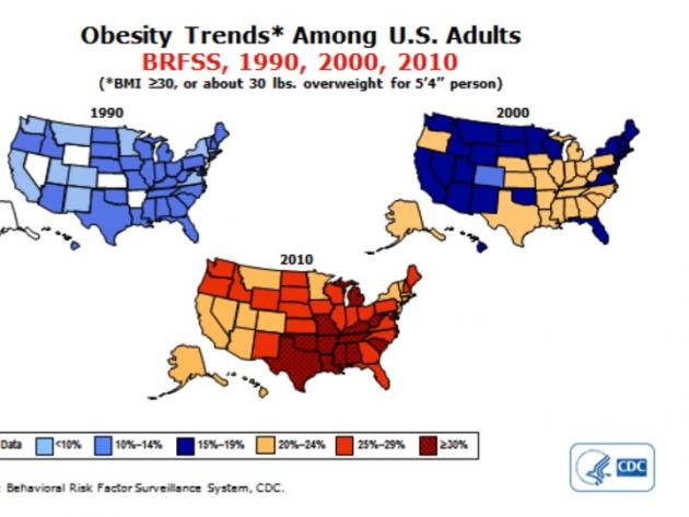 Trends in Obesity USA