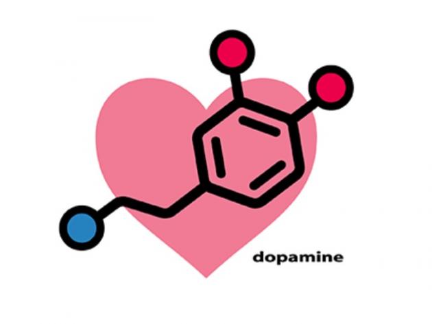 Dopamine is Central to Addiction