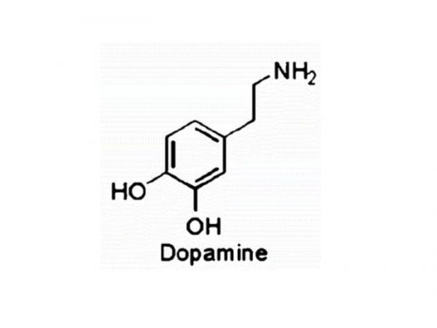 Structure of Dopamine