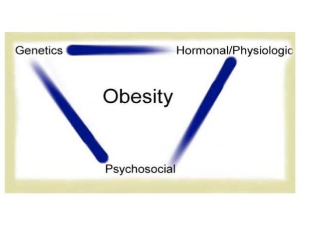 Factors in Obesity