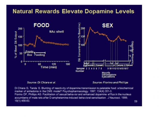 Natural Rewards and Dopamine