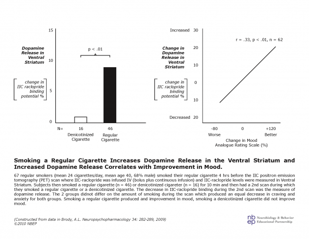 Smoking Releases Dopamine in the Ventral Striatum and Improves Mood