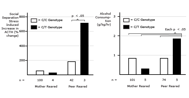 A CRF Gene Variant with Increased CRF Promoter Activity Is Associated with Incre