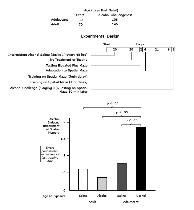 20 Days of Intermittent Alcohol Injections in Adolescent Rats Produces Spatial M