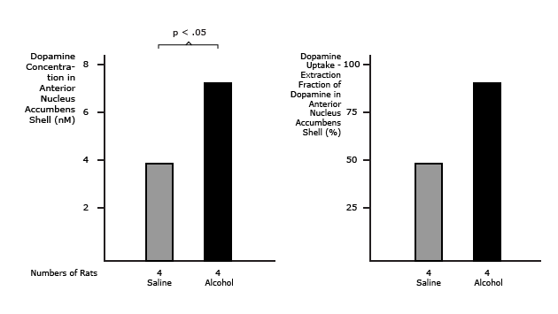Alcohol Exposure During Adolescence Produces Increased Dopamine Levels in the Nu