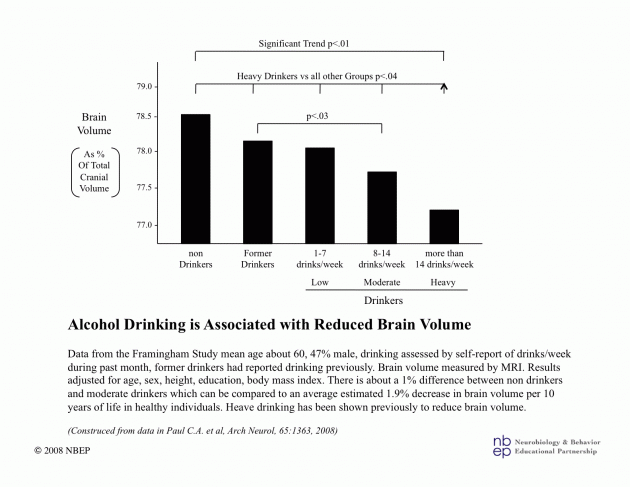 Alcohol Drinking Reduces Brain Volume