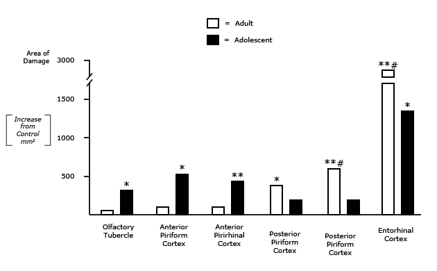 Binge Alcohol Consumption Produces Differential Brain Damage in Adolescent and A