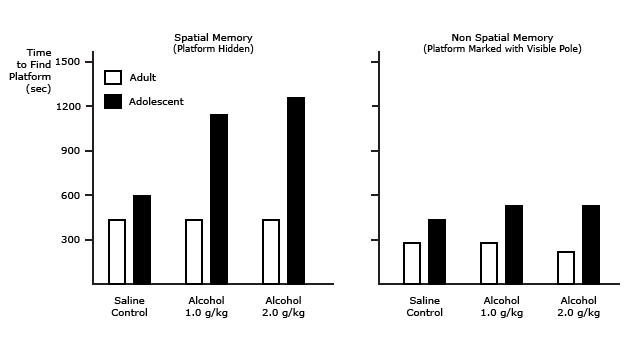 Alcohol Selectively Impairs Spatial Memory Acquisition in Adolescent but not Adu