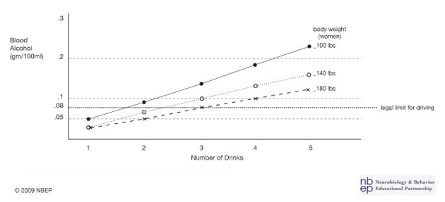 Lower body weight reduces the number of drinks for blood alcohol to reach the le