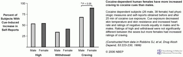 Cocaine Dependent Human Females Have Increased Craving to Cues