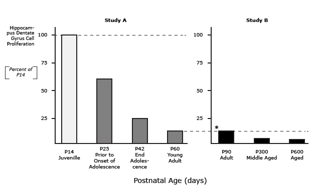 There is a Marked Decrease in Hippocampus Dentate Gyrus Cell Proliferation Acros