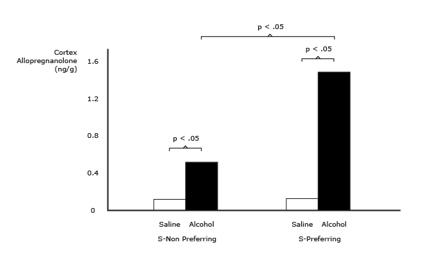 Alcohol Increases Brain Neurosteroid Levels and This Is Greater in Alcohol Prefe