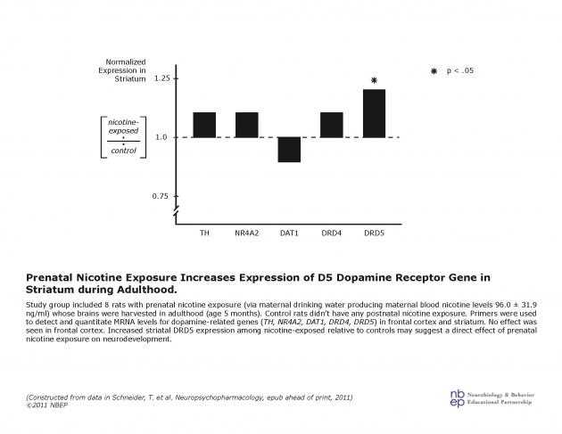 Prenatal Nicotine Exposure and Dopamine Receptor Gene