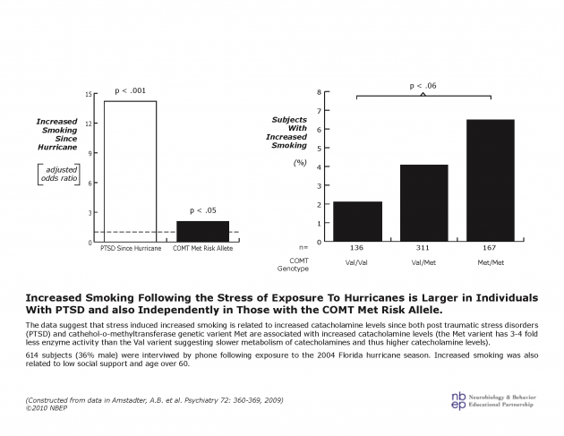 Slower Monoamine Metabolism Following Stress Increases Smoking