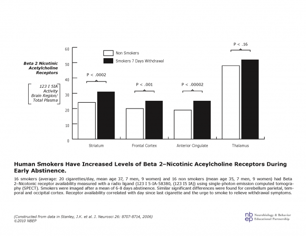 Human Smoking Abstinence and Beta2 Nicotinic Ach Receptors