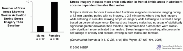 Stress Imagery Induces More Brain Activation in Females than Males